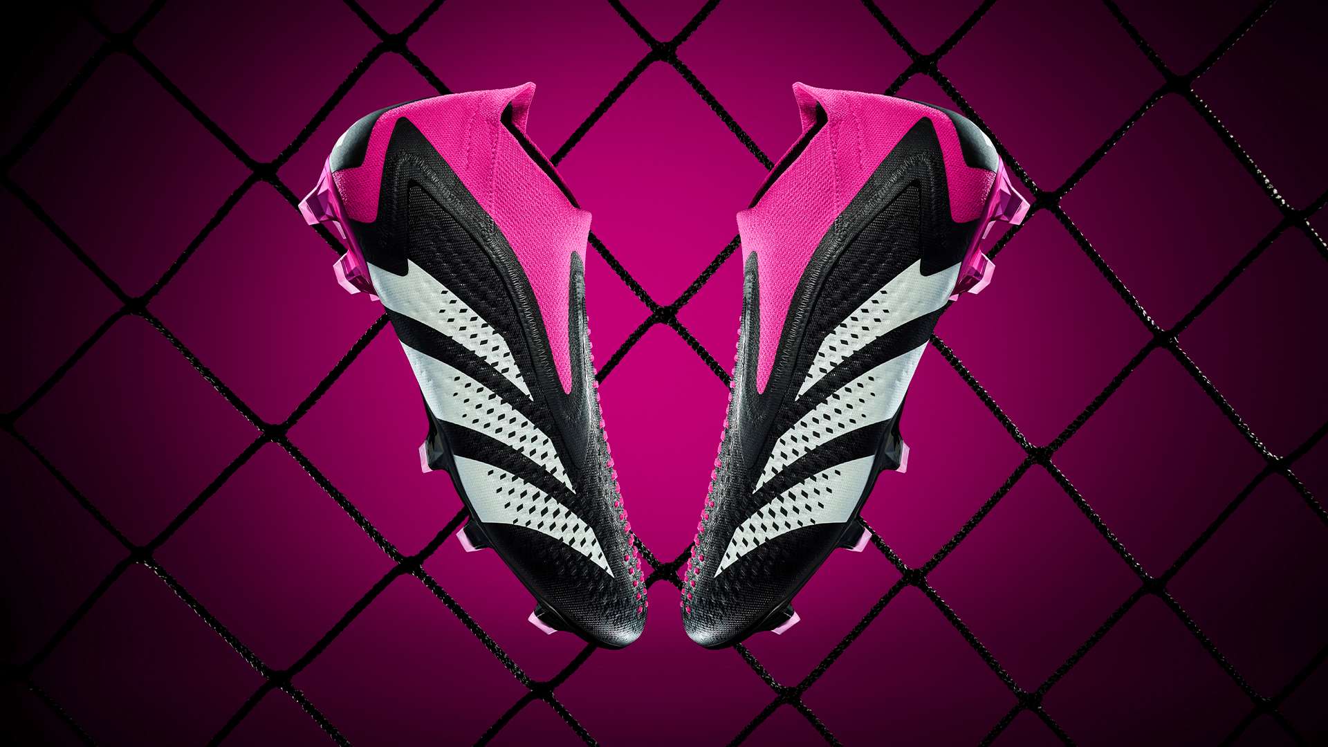 他从初出茅 他从初出茅